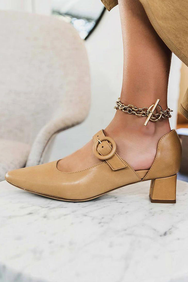 Pointed Toe Buckled Chunky Heels