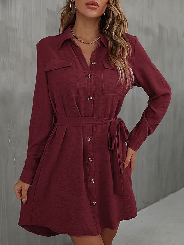 Women's Dresses Commuter Lapel Lace Solid Mini Dress