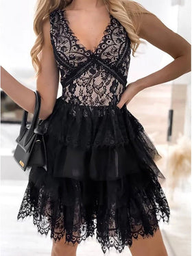 Women's Dresses V-Neck Lace Paneled Mesh Mini Dress